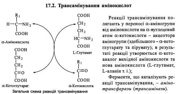 https://studfiles.net/html/2706/1144/html_DfQ2xErIAf.1ofm/img-SgHBic.jpg