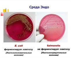 https://cf.ppt-online.org/files/slide/y/yhpPN16OcETFeWCGbmioZakHMDIQK0tx7rzjA5/slide-9.jpg