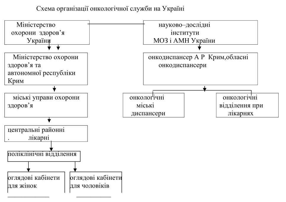 Що таке нормальний або середній розмір статевого члена — блог медичного центру ОН Клінік