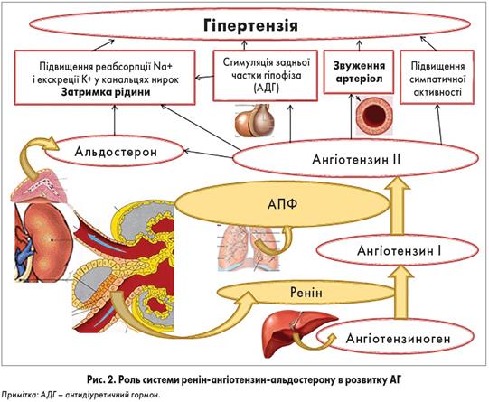 https://health-ua.com/multimedia/userfiles/images/2018/ZU_20_2018/ZU_20_2018_pic2_st12_13.jpg